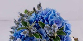 Glamorous bouquet ideas by Laura Kuy