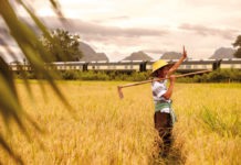 An Eastern odyssey through Singapore, Malaysia and Vietnam