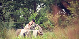 Absolutely weddings summer style