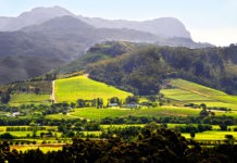 Cape paradise at Mont Rochelle