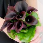 Black Calla Lily Hand tied Bouquet